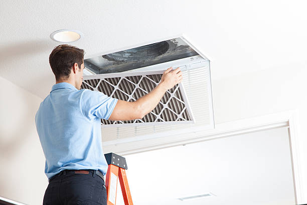 Best Ductless HVAC repair  in Chenoa, IL