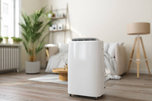 Best HVAC air duct cleaning  in Chenoa, IL